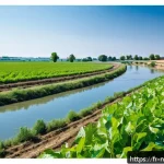 Home 18 전국 통합 수자원 관리 계획 - A vibrant French rural landscape during summer drought, showing a patchwork of agricultural fields w...