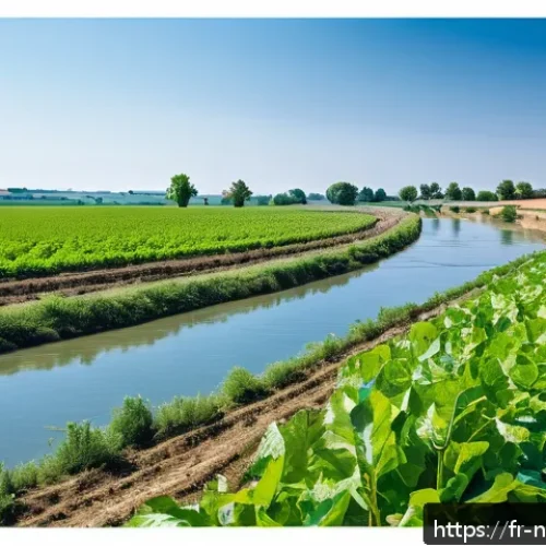 Home 30 전국 통합 수자원 관리 계획 - A vibrant French rural landscape during summer drought, showing a patchwork of agricultural fields w...